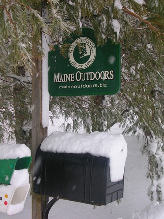 New Sign in Snow